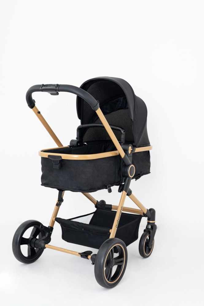 Carrinho de Passeio Galzerano Ivy 0 a 15kg com Cesto Moises