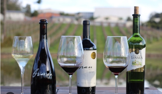 Degustação de vinhos em Bento Gonçalves (RS)