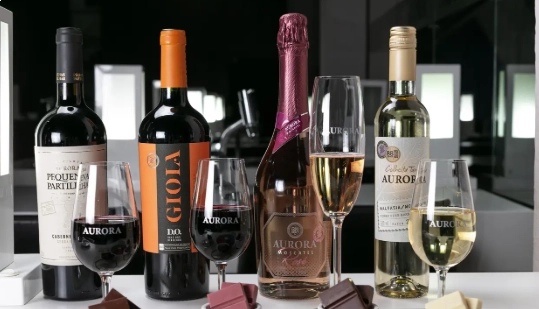 Degustação de vinhos em Bento Gonçalves (RS)