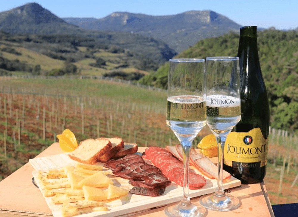 Degustação de vinhos em Bento Gonçalves (RS)